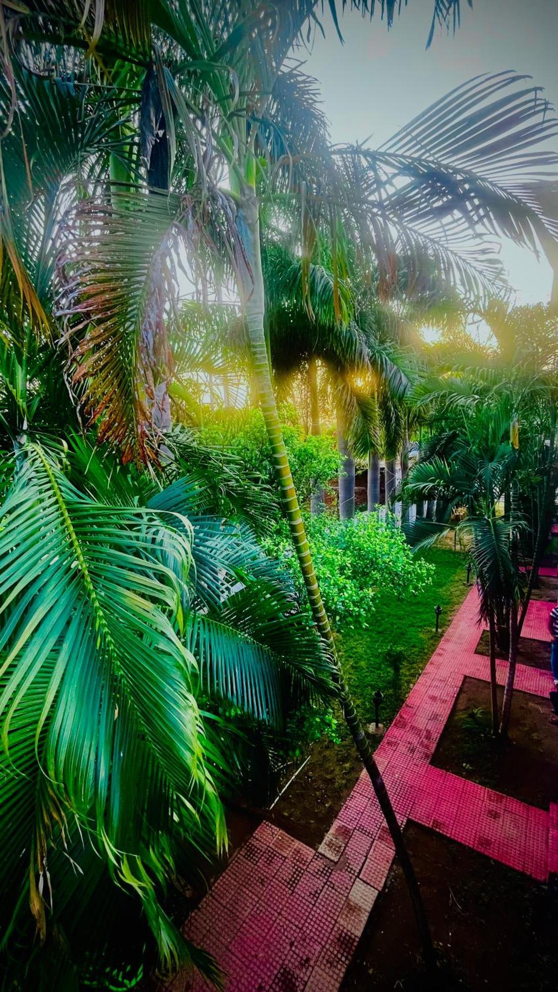 Hotel Jungle Palace Resort Umaria  Екстер'єр фото