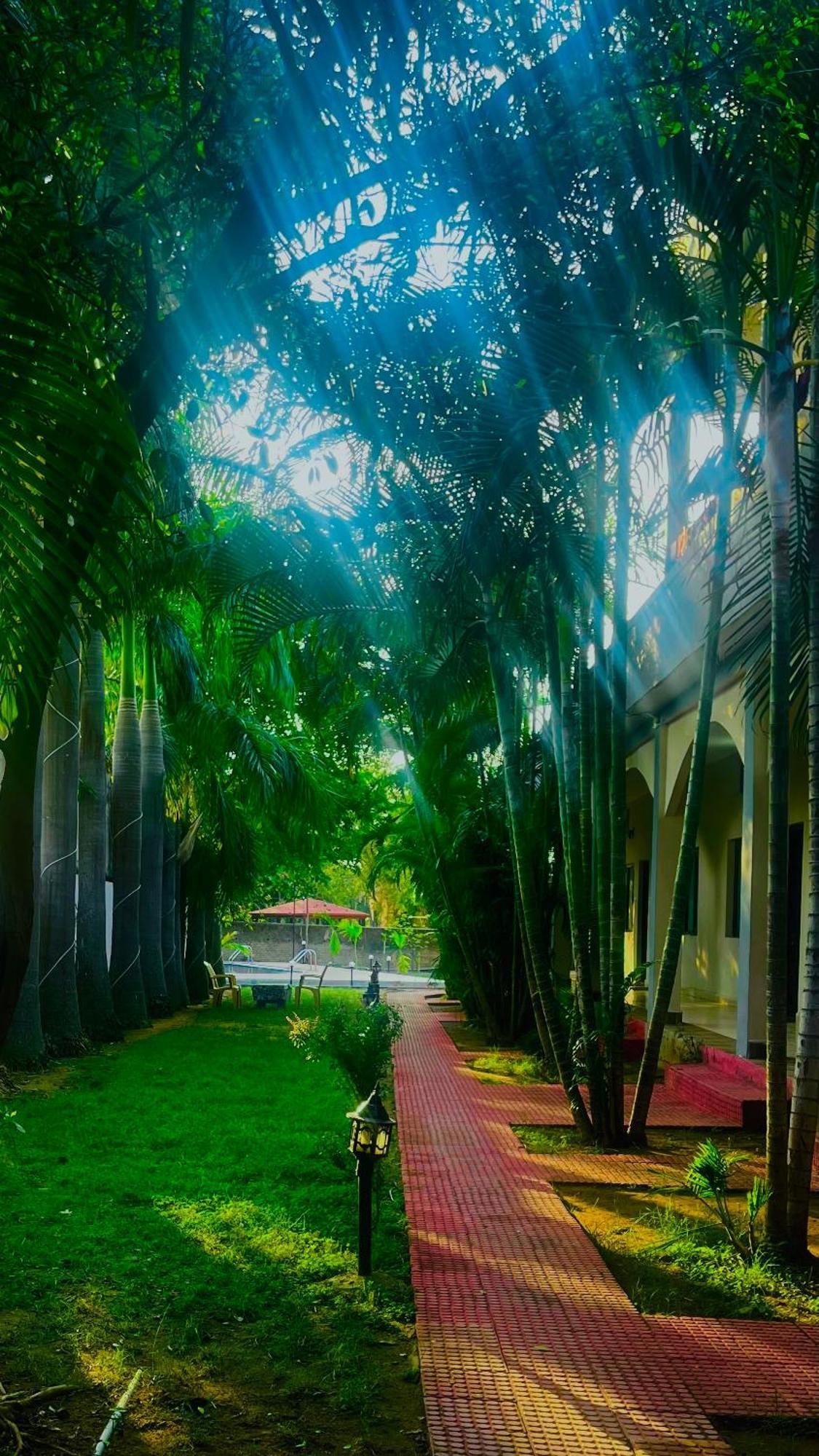Hotel Jungle Palace Resort Umaria  Екстер'єр фото